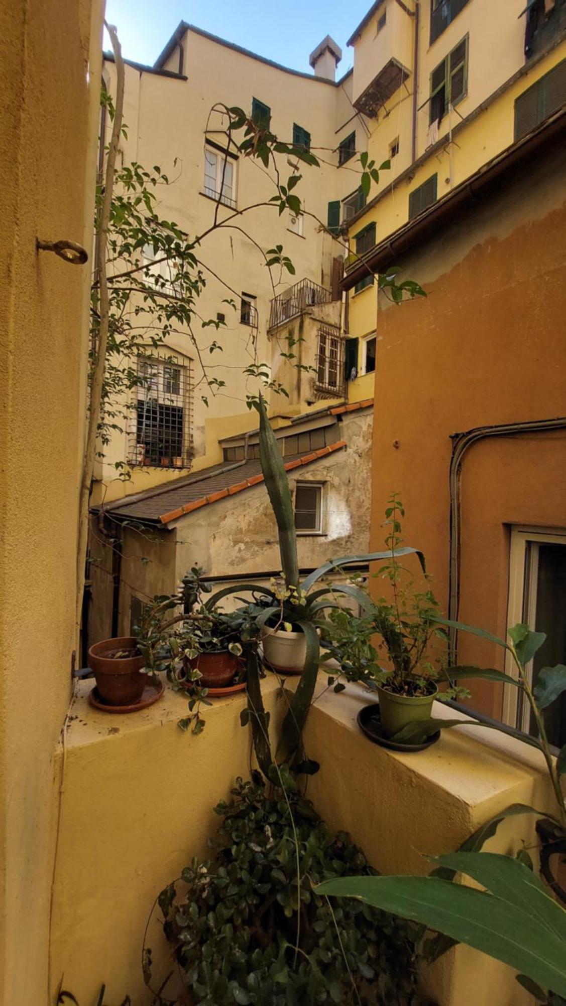 L'Angolo Verde In San Luca Генуя Экстерьер фото